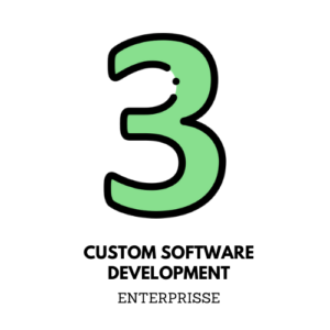 Custom Software Development-Enterprisse