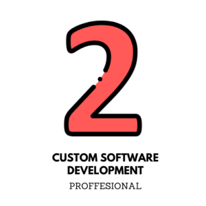 Custom Software Development-Proffesional